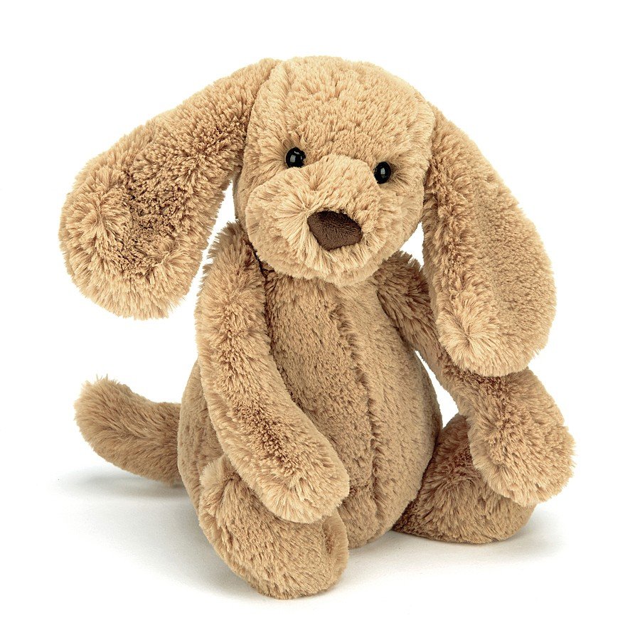 Jellycat Bashful Toffee Puppy 害羞的太妃糖小狗 Medium中号 BAS3TPUS 高31cm x 宽12cm